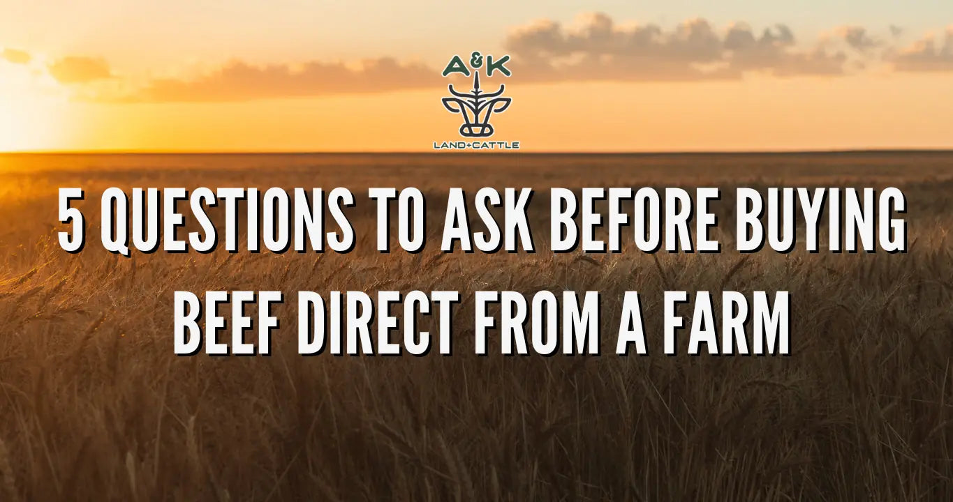 5 Questions to Ask Before Buying Beef Direct From a Farm