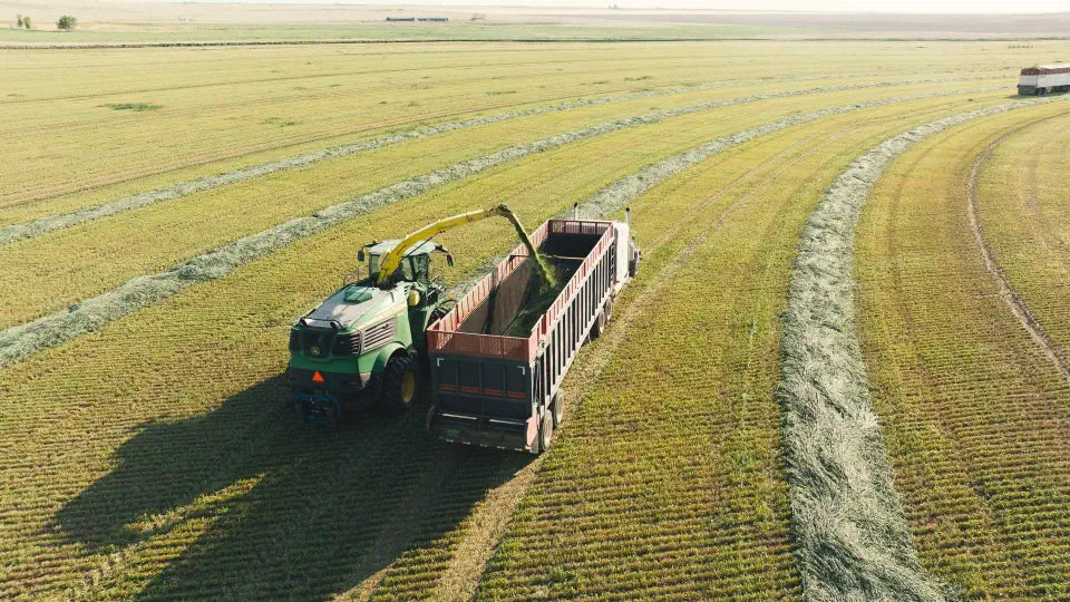 Tractor harvesting crops in an Oklahoma field