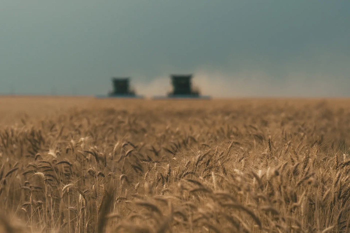 Feed & Forage Supply
