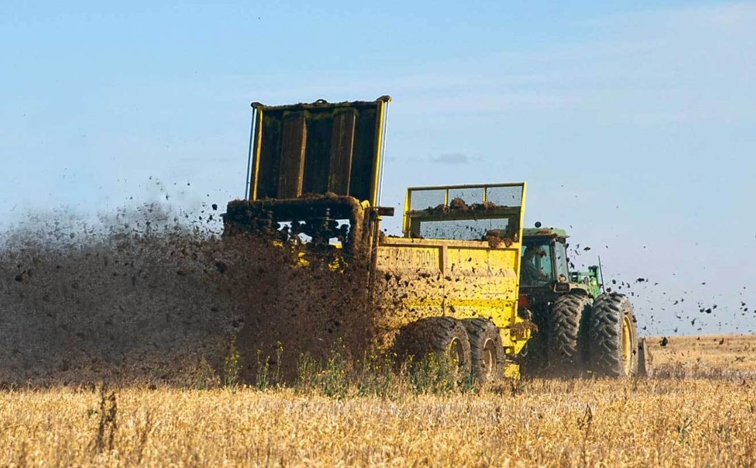 Steer Manure Application