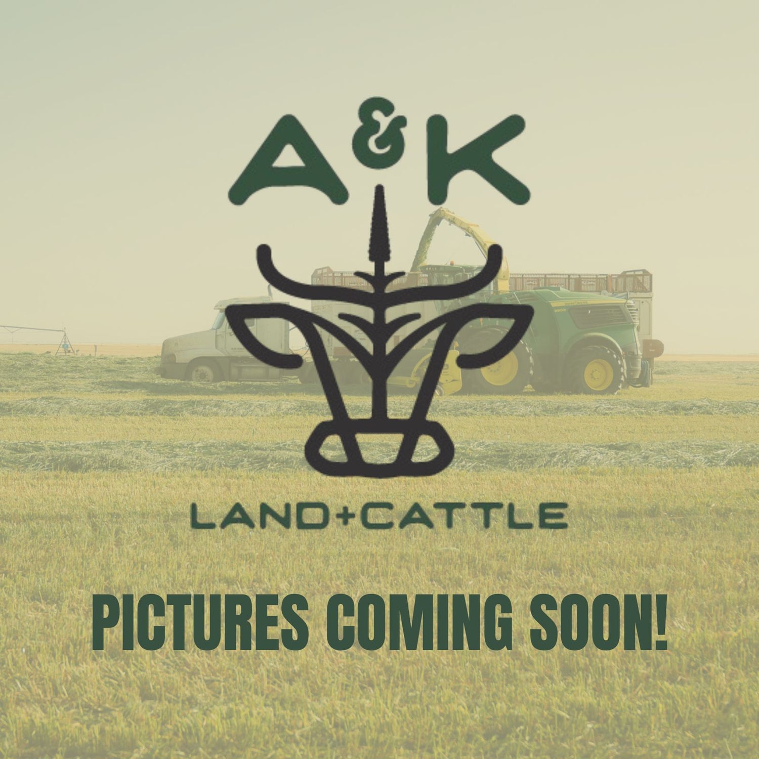 The Ranch Hand Beef Box