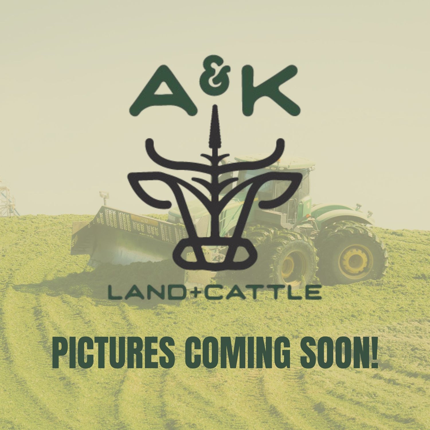 A&K Land & Cattle – Ribeye Steak, Oklahoma farm-raised dry-aged beef, shipped frozen nationwide.
