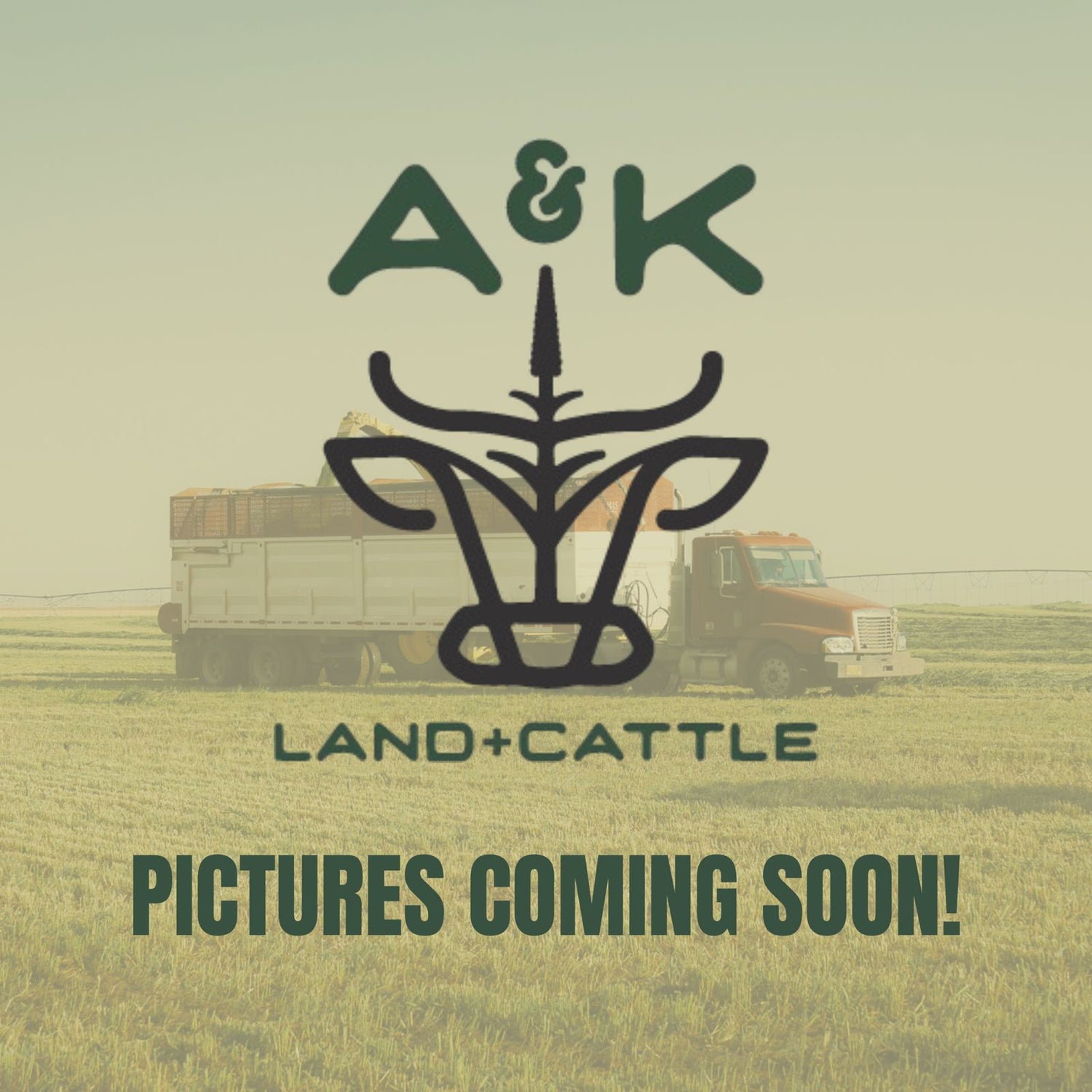 Placeholder image with 'A&K Land & Cattle' logo and text 'Pictures Coming Soon!' in a field setting.