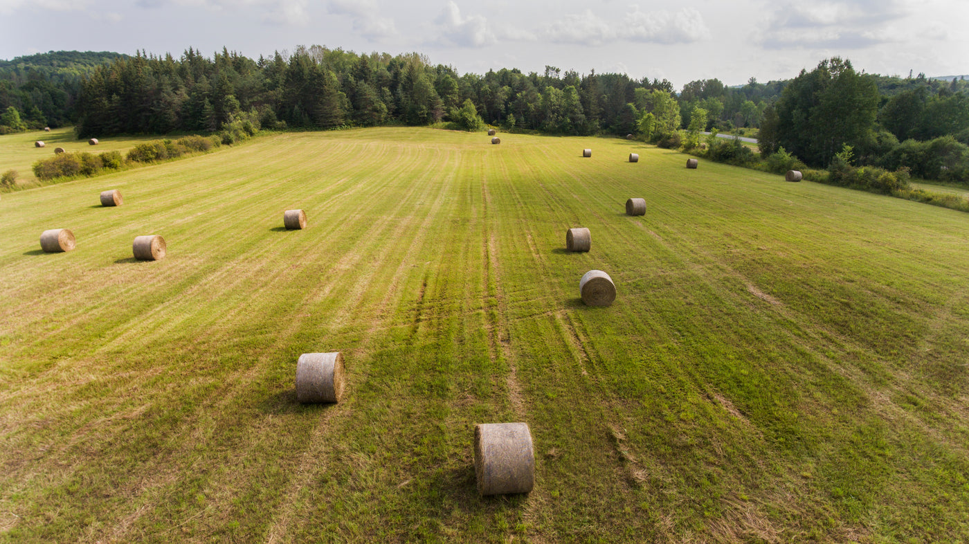 Silage Harvesting