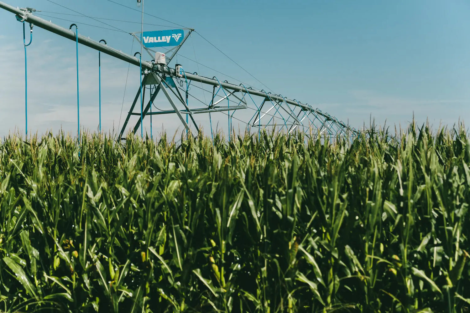 Why More Families Are Switching from Grocery Store Beef to Farm-Direct Delivery