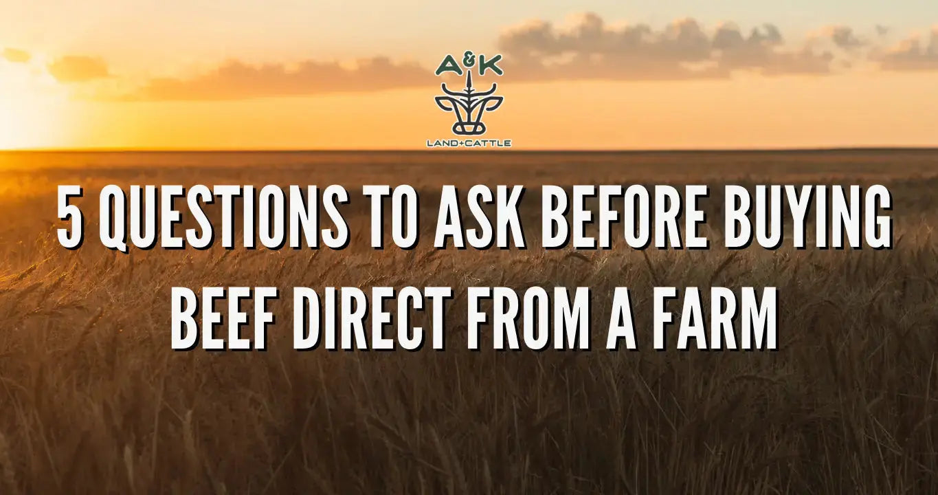 5 Questions to Ask Before Buying Beef Direct From a Farm