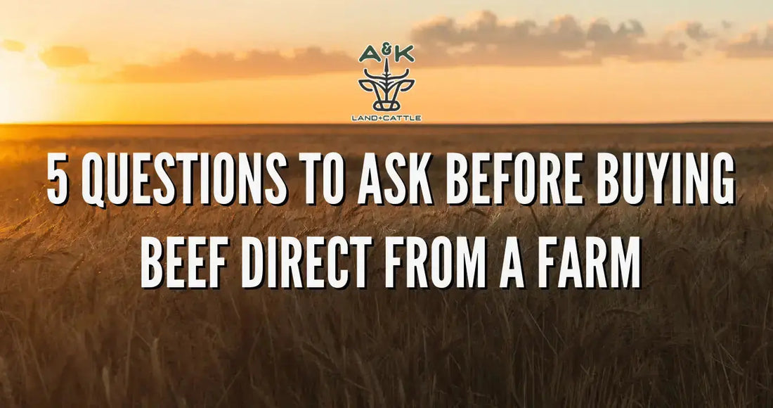 5 Questions to Ask Before Buying Beef Direct From a Farm - A&K Land and Cattle