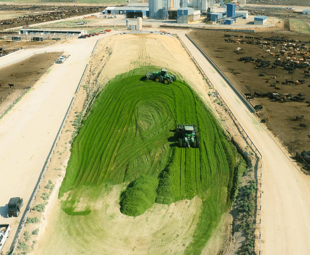 Land acquisition & development