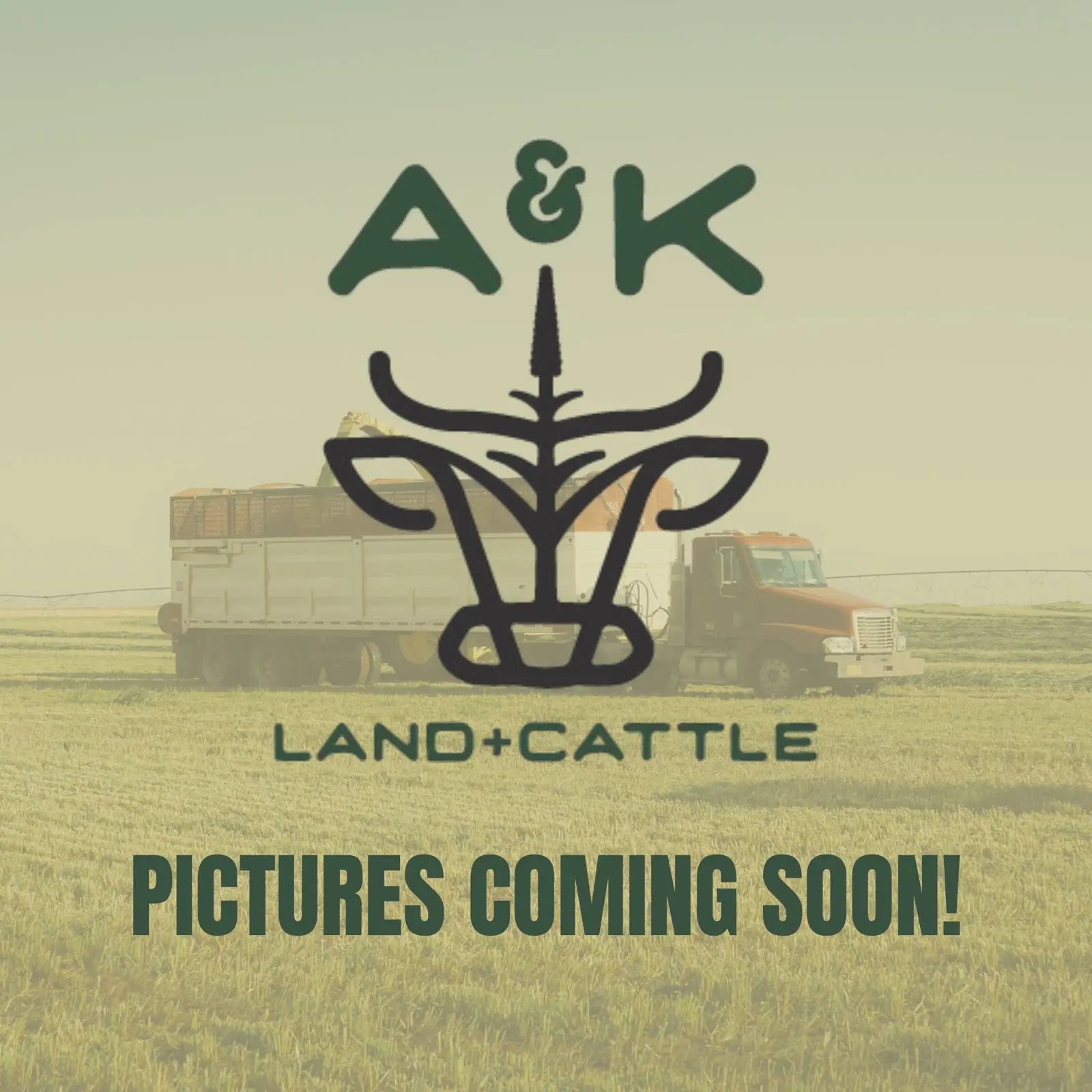 LOCAL Pickup Only: The Weekender Box - A&K Land and Cattle